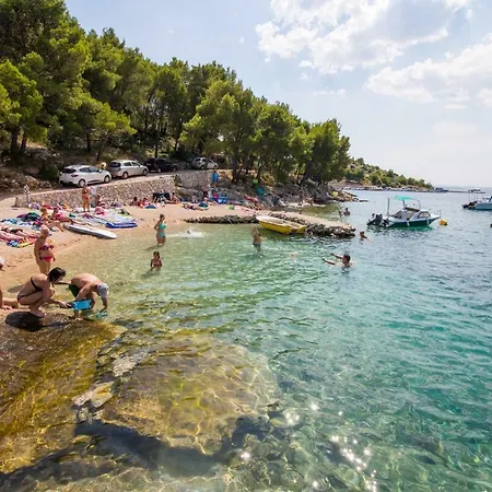 Carpe Summer Drage